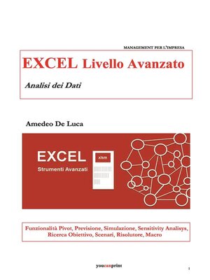 cover image of EXCEL Livello Avanzato